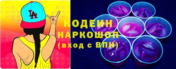 хмурый Ладушкин