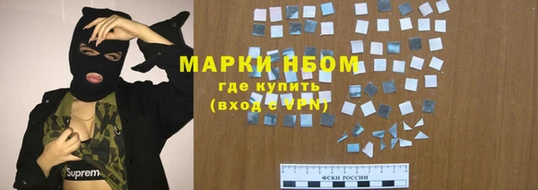 хмурый Ладушкин