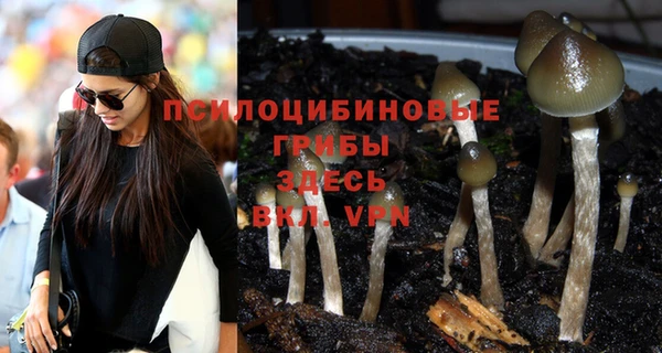 apvp Магас