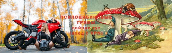 а пвп мука Лиски