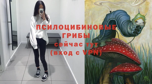 хмурый Ладушкин